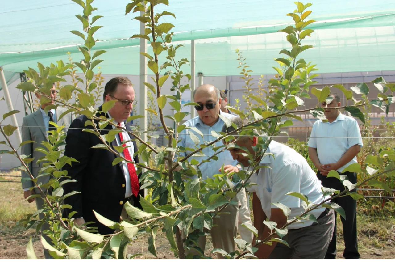 Akmal Mamarahimov created a massive farm in the steppe