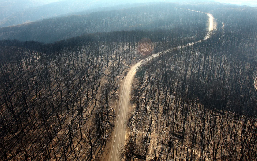 An American firefighter’s honest letter to Canada