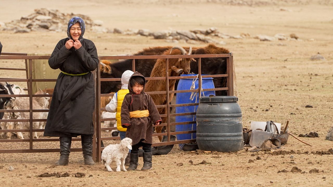 Cashmere demand is threatening Mongolia’s steppe. Can the industry go sustainable?